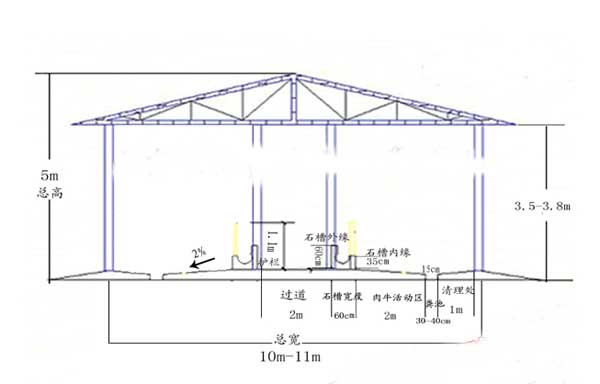 肉牛養(yǎng)殖場建設方案