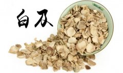 白及的產(chǎn)地是哪里？白及的用法、用量與禁忌