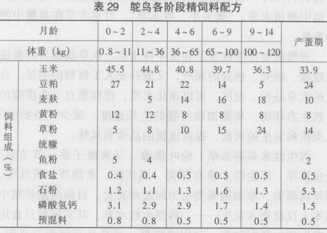 鴕鳥飼養(yǎng)管理技術