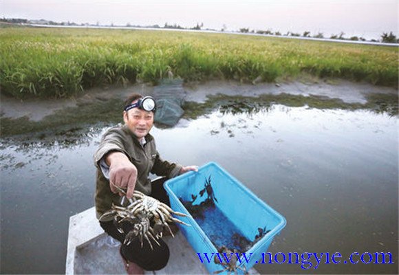 水源充足、水質(zhì)清新無污染