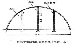 塑料中棚加外覆蓋能明顯使蔬菜早熟，效益高