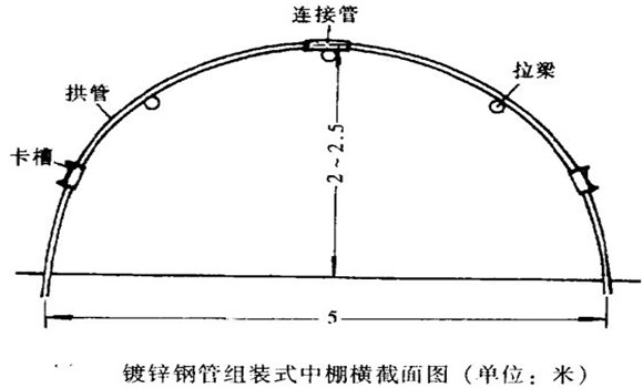 塑料中棚加外覆蓋能明顯使蔬菜早熟，效益高