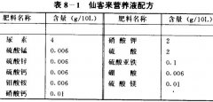 仙客來無土栽培技術須知