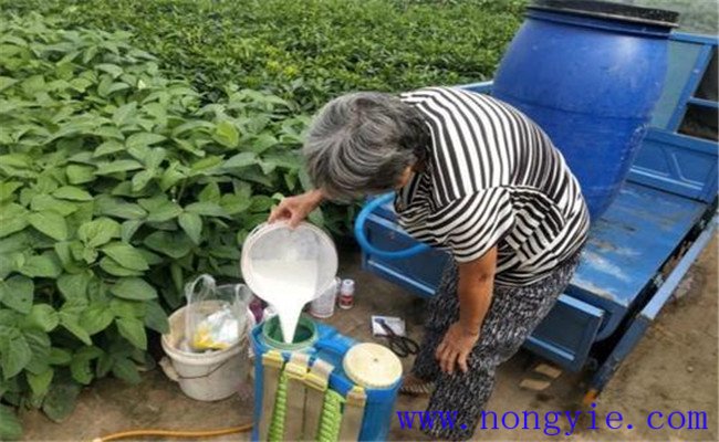 磷酸二氫鉀的使用量