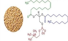 大豆異黃酮對人體有什么好處 什么食物含量多？