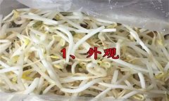 如何挑選豆芽？有根豆芽與無(wú)根豆芽有什么區(qū)別