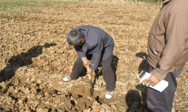 辣椒為什么要進(jìn)行測(cè)土配方施肥